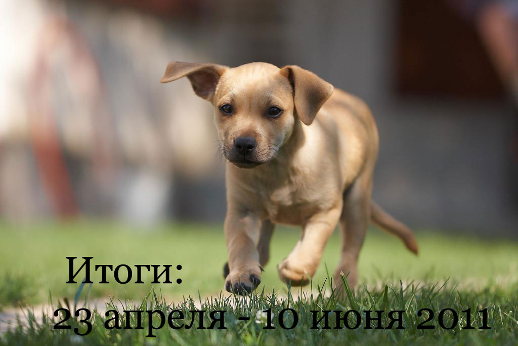 итоги-за-апрель-май-июнь итоги-за-апрель-май-июнь