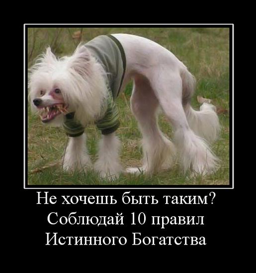 10 правил истинного богатства 10 правил истинного богатства