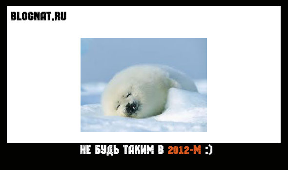 Итоги 2011 Итоги 2011