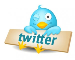 1271250745_twitter_bird