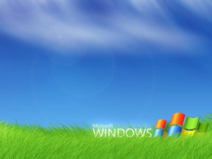 Windowsbliss